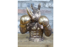 Boxing Rhino