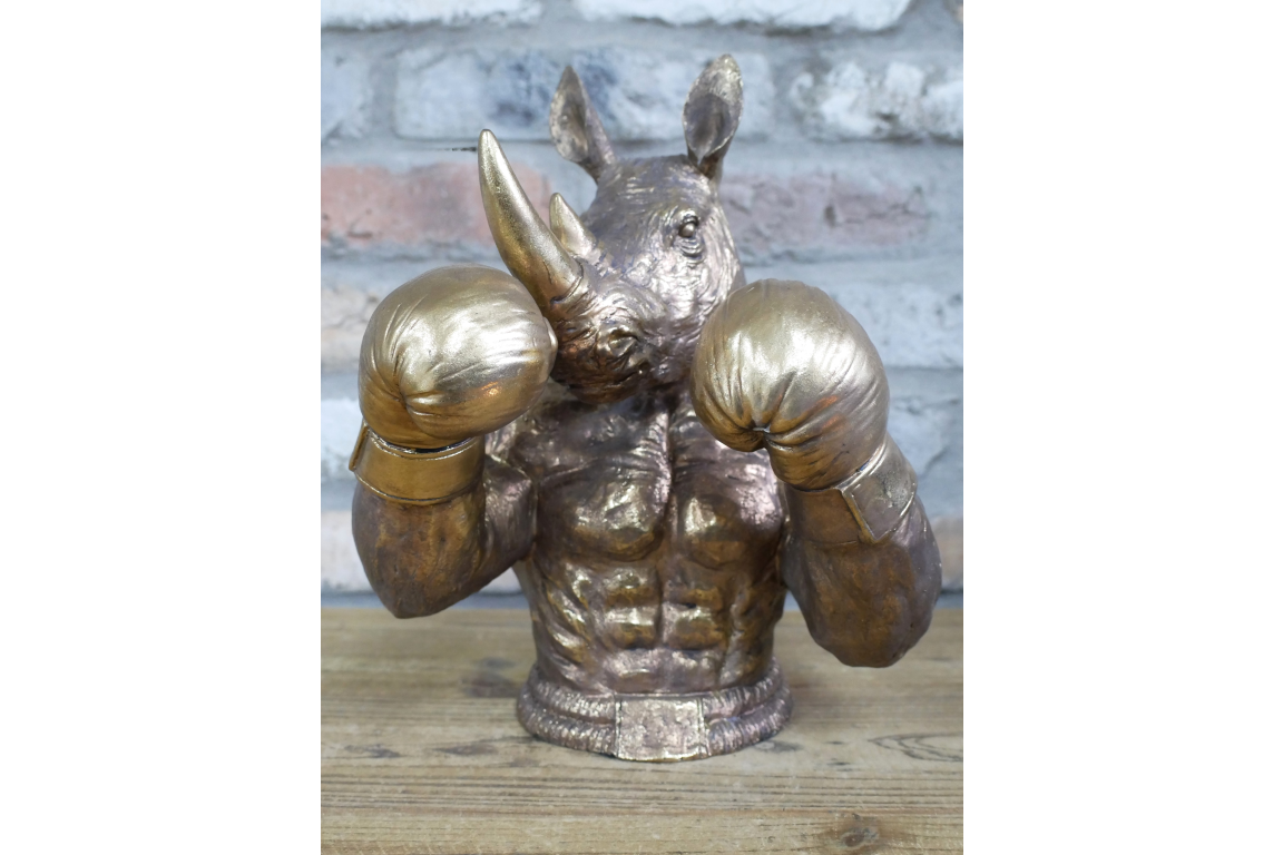 Boxing Rhino