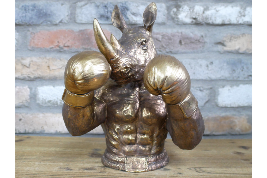 Boxing Rhino