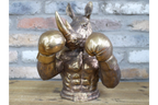 Boxing Rhino