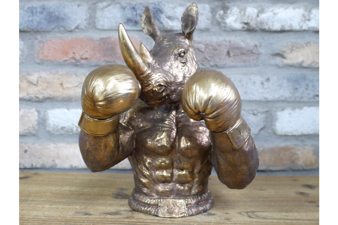 Boxing Rhino