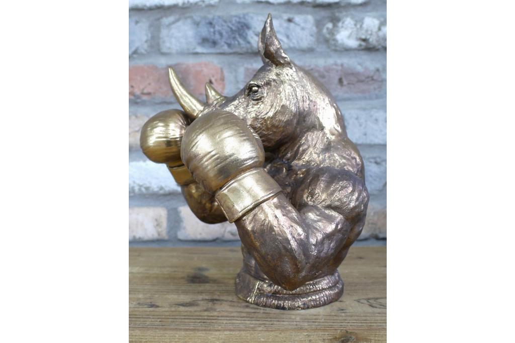 Boxing Rhino