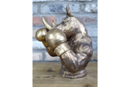 Boxing Rhino