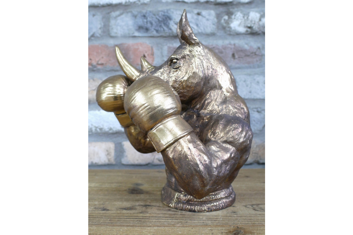 Boxing Rhino
