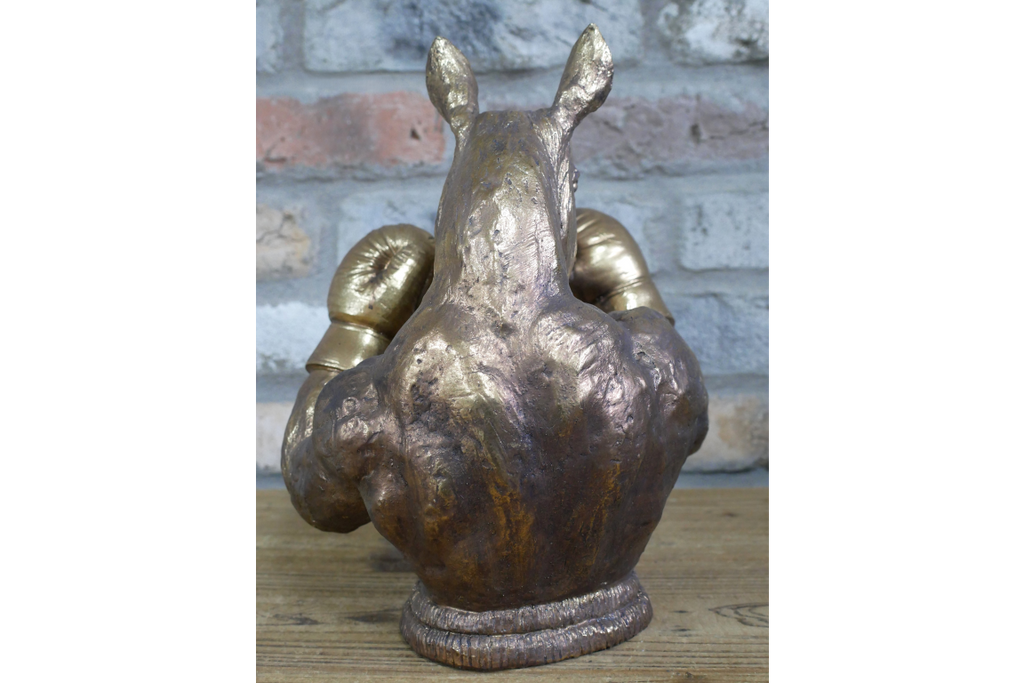 Boxing Rhino