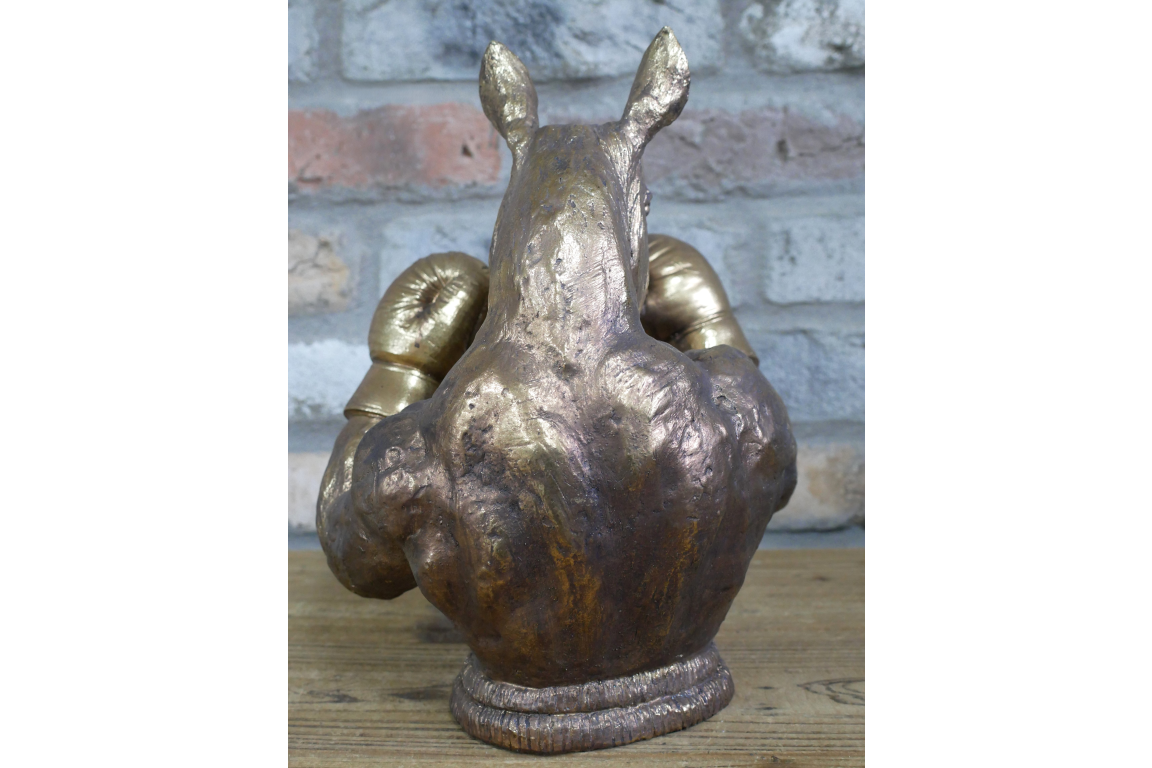 Boxing Rhino