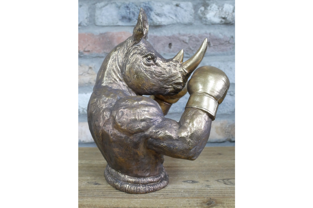 Boxing Rhino