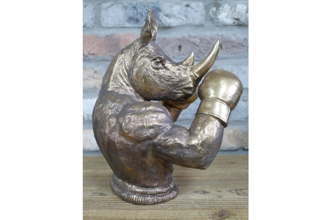 Boxing Rhino