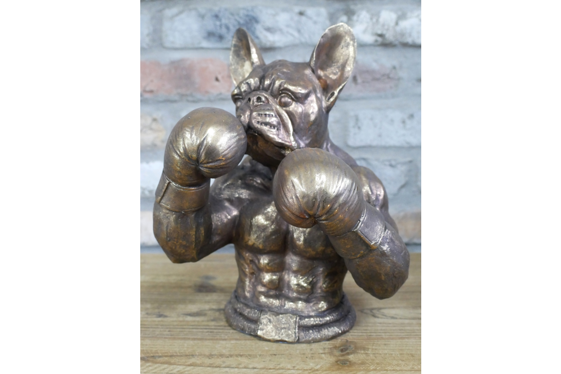 Boxing French Bulldog