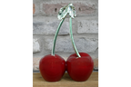 Cherries