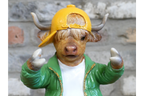 Cool Cow