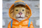 Puffer Jacket Lion