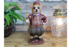 Royal Corgi
