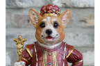 Royal Corgi