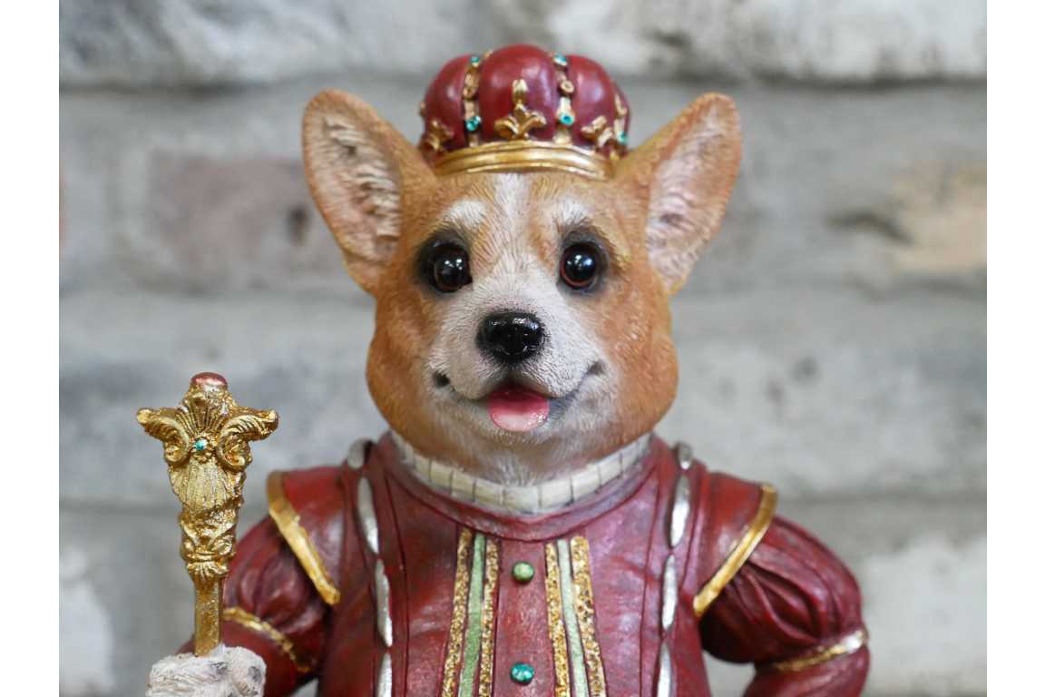 Royal Corgi