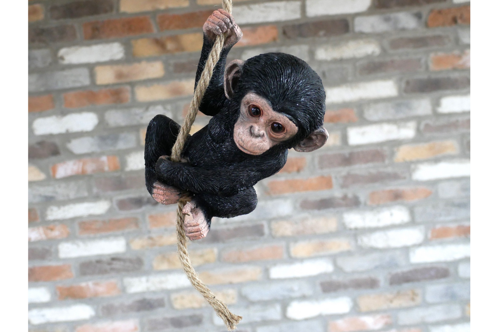 Baby Monkey on a Rope