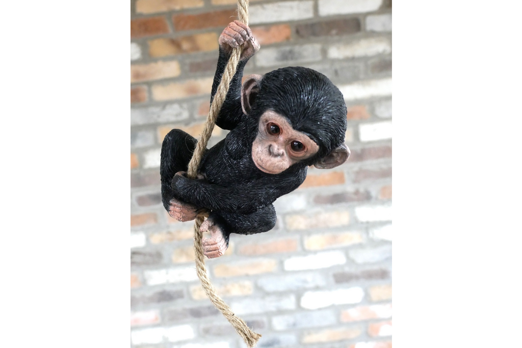 Baby Monkey on a Rope