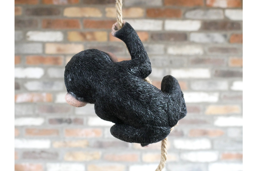 Baby Monkey on a Rope