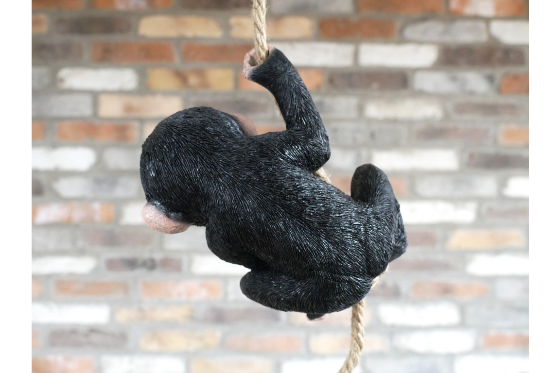 Baby Monkey on a Rope