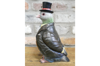Pigeon in a Suit