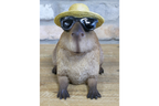 Holiday Capybara