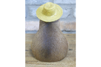 Holiday Capybara