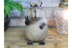 Peace Sign Capybara