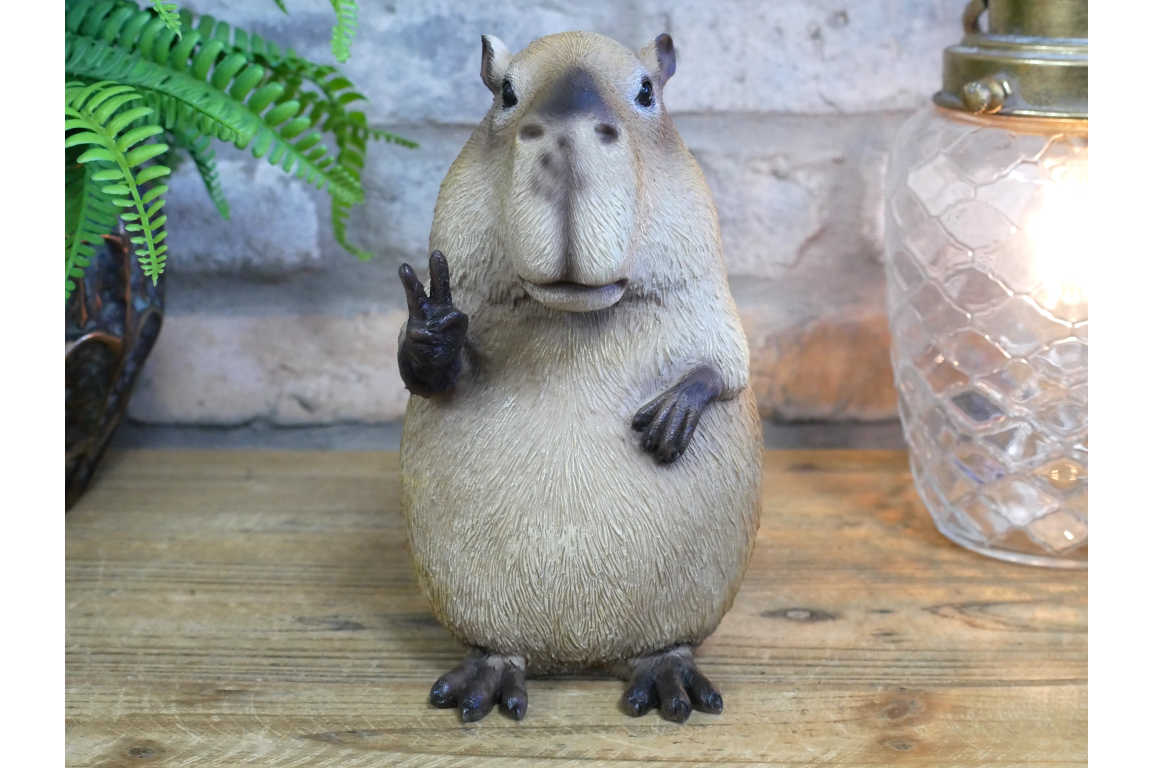 Peace Sign Capybara