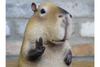 Peace Sign Capybara