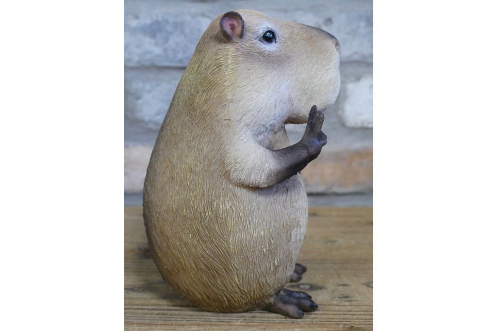 Peace Sign Capybara