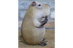 Peace Sign Capybara
