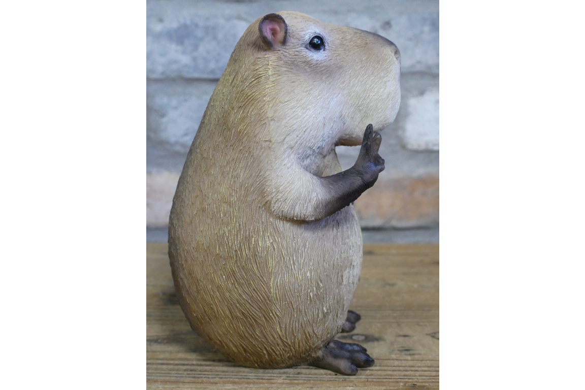 Peace Sign Capybara