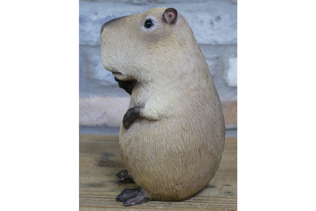 Peace Sign Capybara