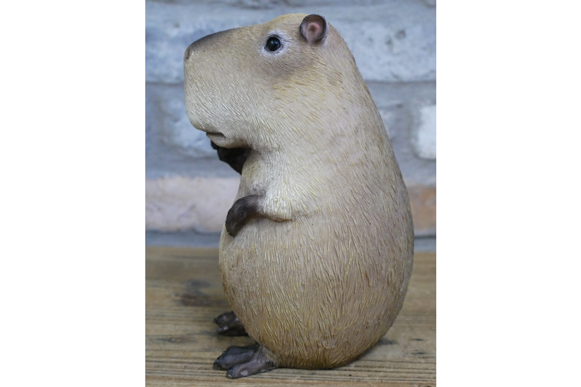 Peace Sign Capybara