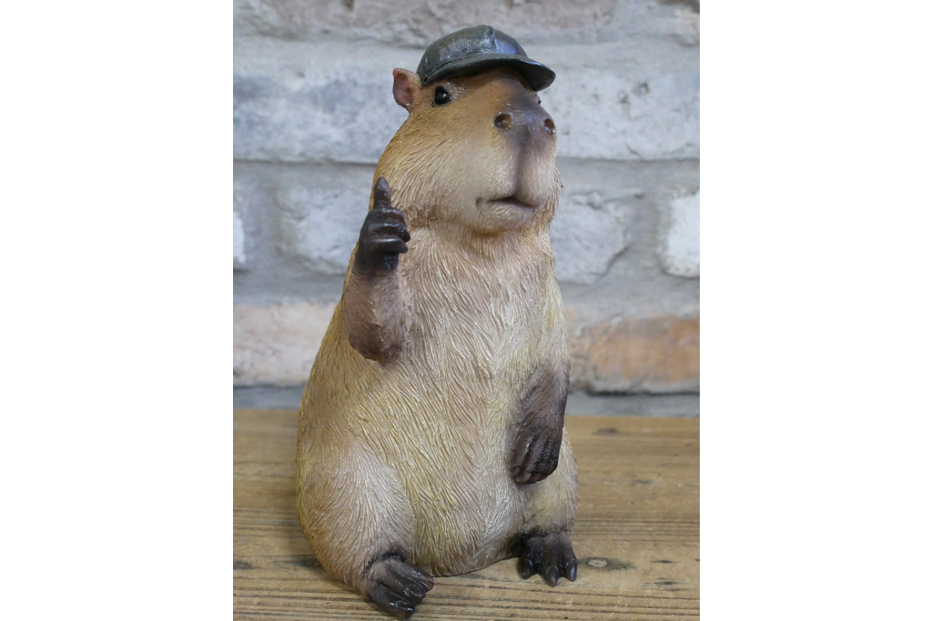 Thumbs Up Capybara