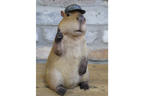 Thumbs Up Capybara