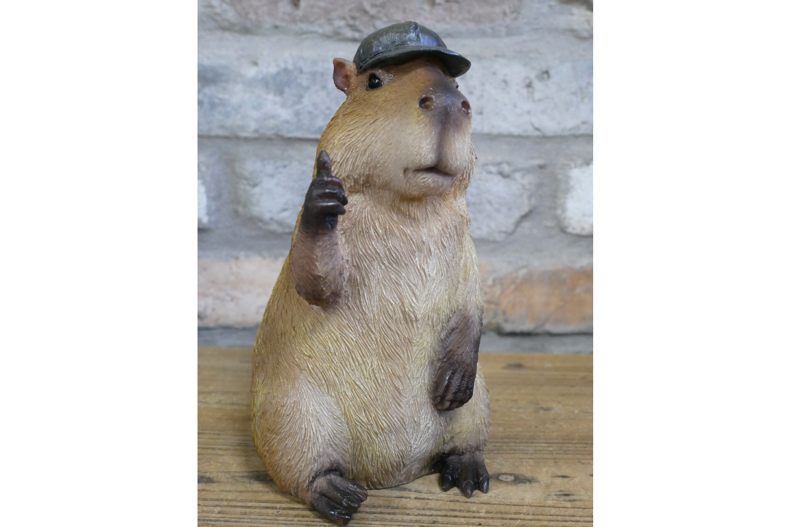 Thumbs Up Capybara