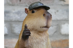 Thumbs Up Capybara
