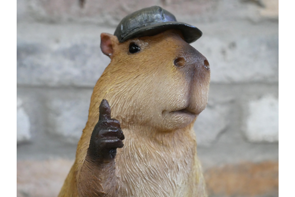 Thumbs Up Capybara