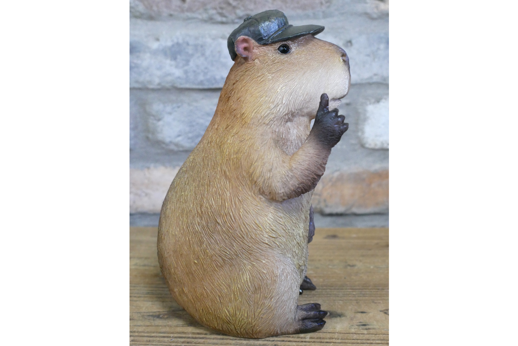 Thumbs Up Capybara