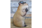 Thumbs Up Capybara