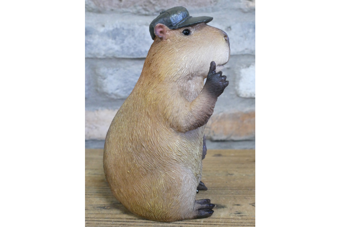 Thumbs Up Capybara