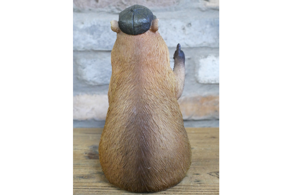 Thumbs Up Capybara