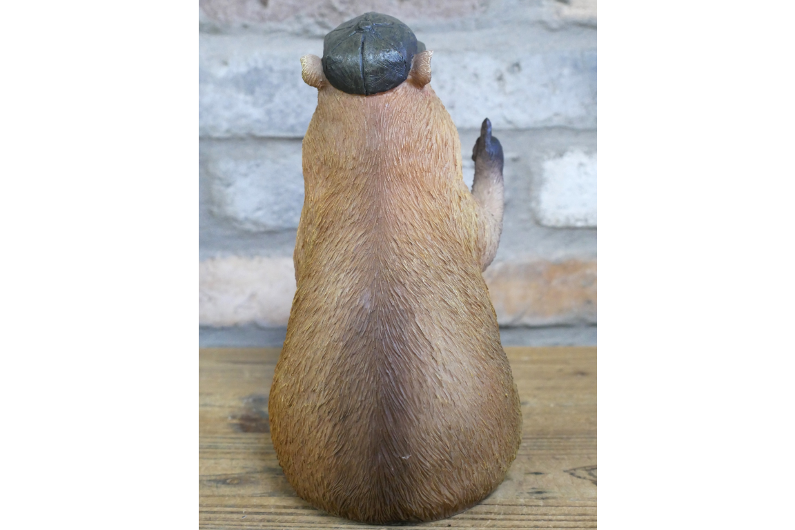 Thumbs Up Capybara