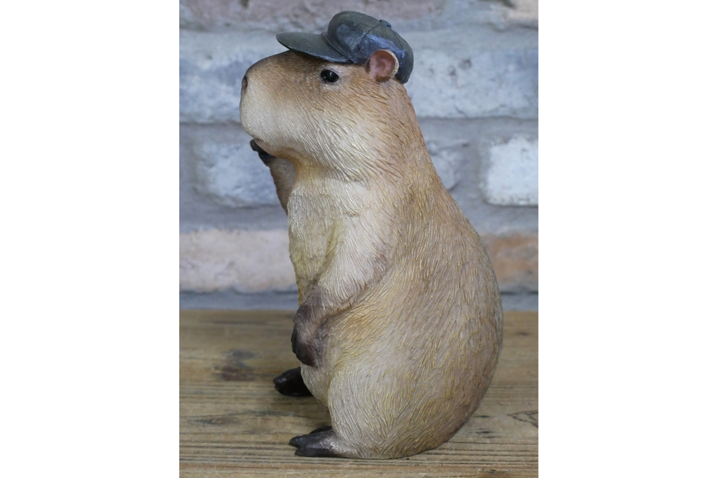 Thumbs Up Capybara