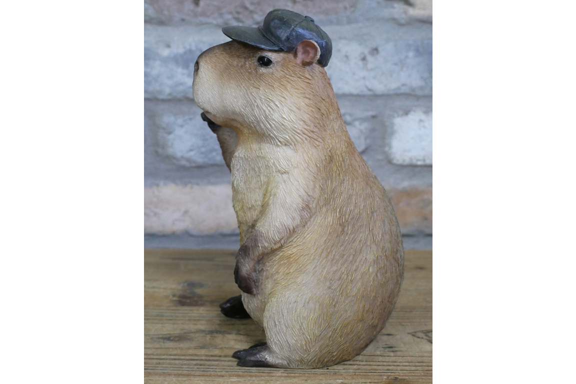 Thumbs Up Capybara