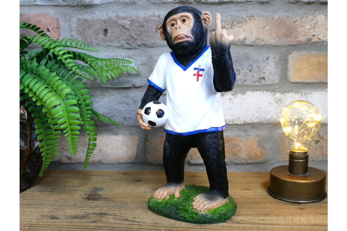 Up Yours England Monkey