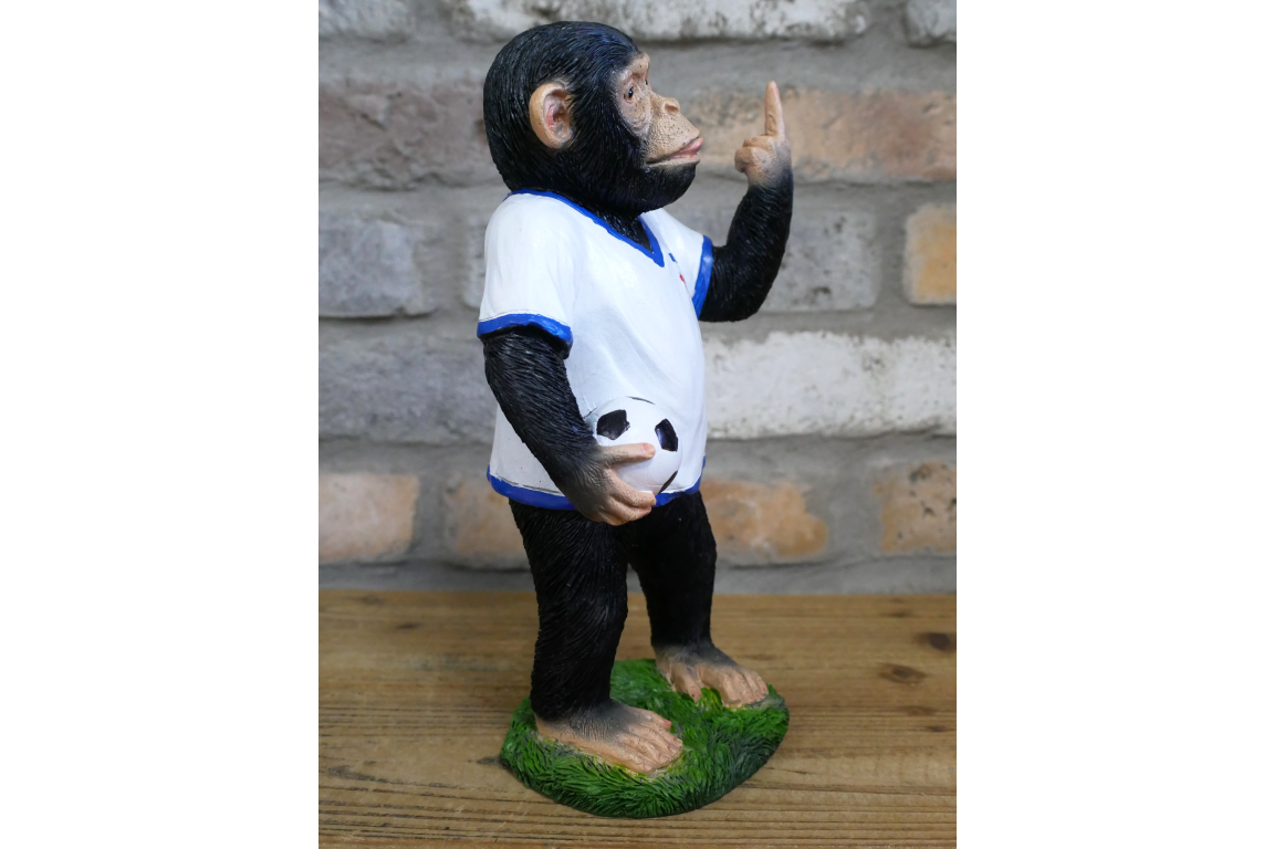 Up Yours England Monkey