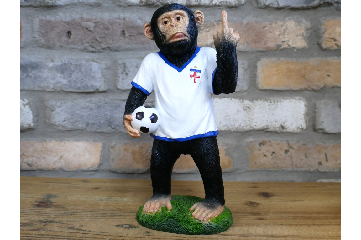 Up Yours England Monkey