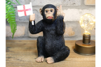 Up Yours England Monkey